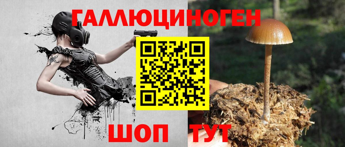 Канск  Галлюциногенные грибы Cubensis  Вход с VPN  Псилоцибиновые грибы MAGIC MUSHROOMS 