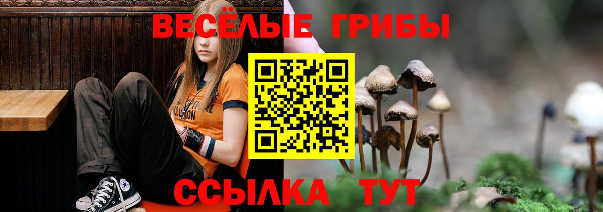 Галлюциногенные грибы мухоморы Канск
